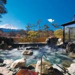 (FUJI)Onsen - Fuji Yurari Hot Spring