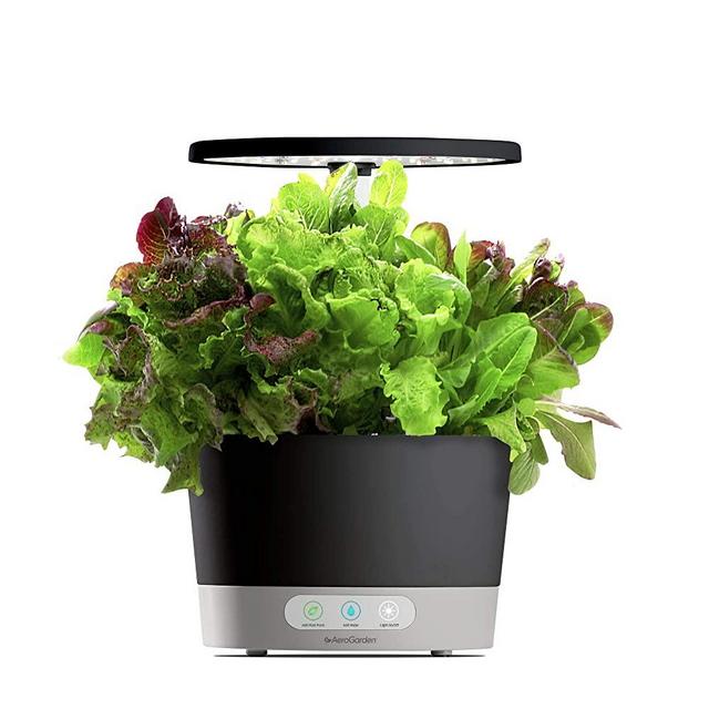 AeroGarden Harvest 360 - Black w/ Heirloom Salad Greens Seed Pod Kit