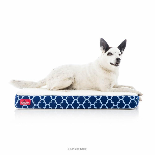 Brindle Waterproof Designer Memory Foam Pet Bed-Removable Machine Washable Cover-4 Inch Orthopedic Pet Bed-Joint Relief