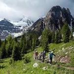 Hike Any and Everywhere