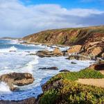 Bodega Bay
