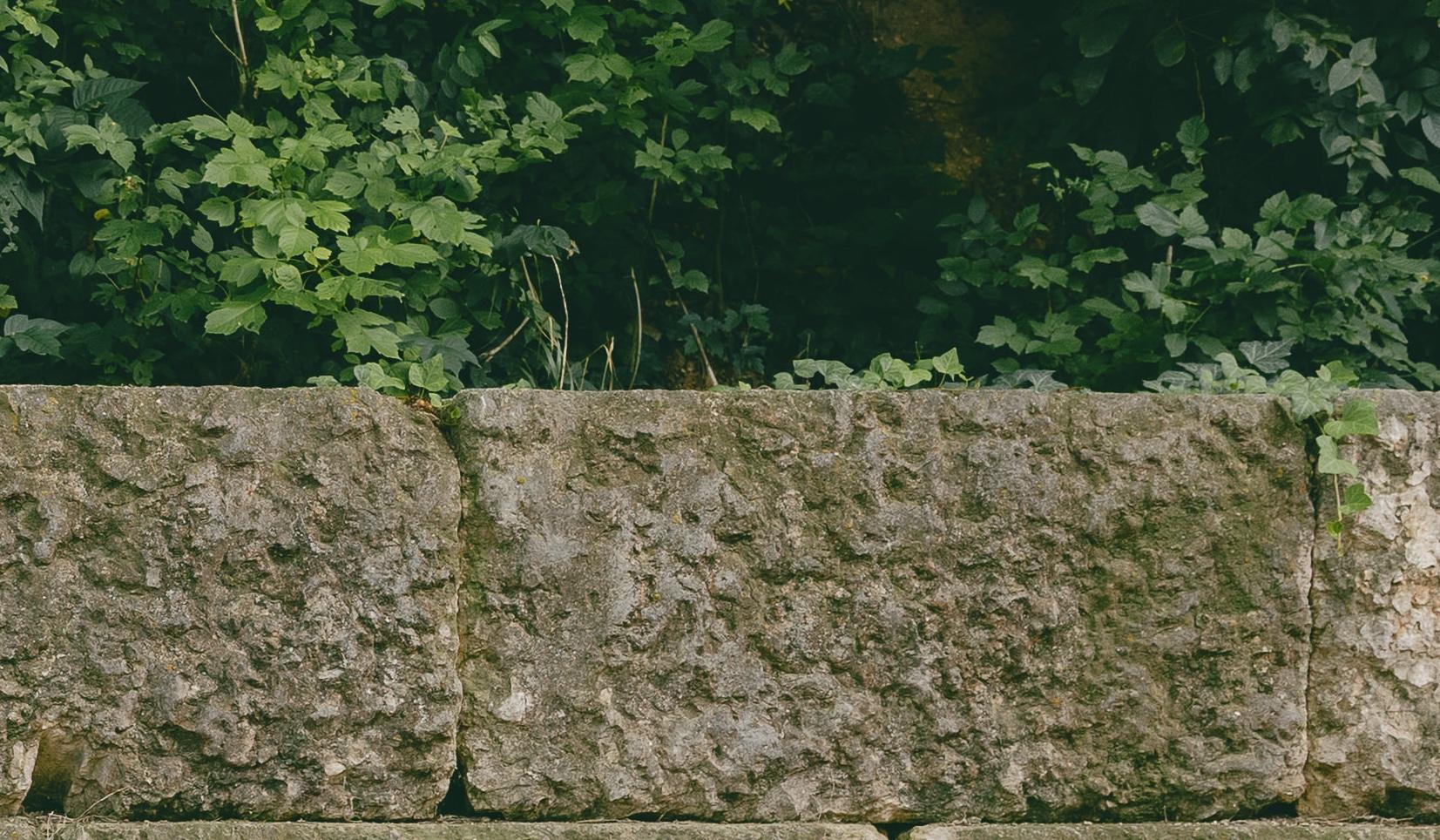 The Wedding Website of Nina Danilovich and Ryan Redfearn