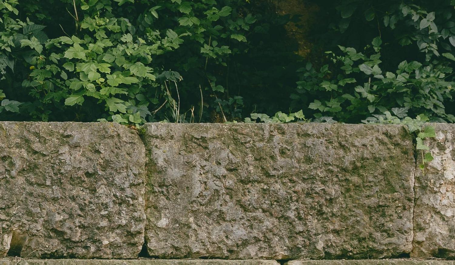 The Wedding Website of Nina Danilovich and Ryan Redfearn