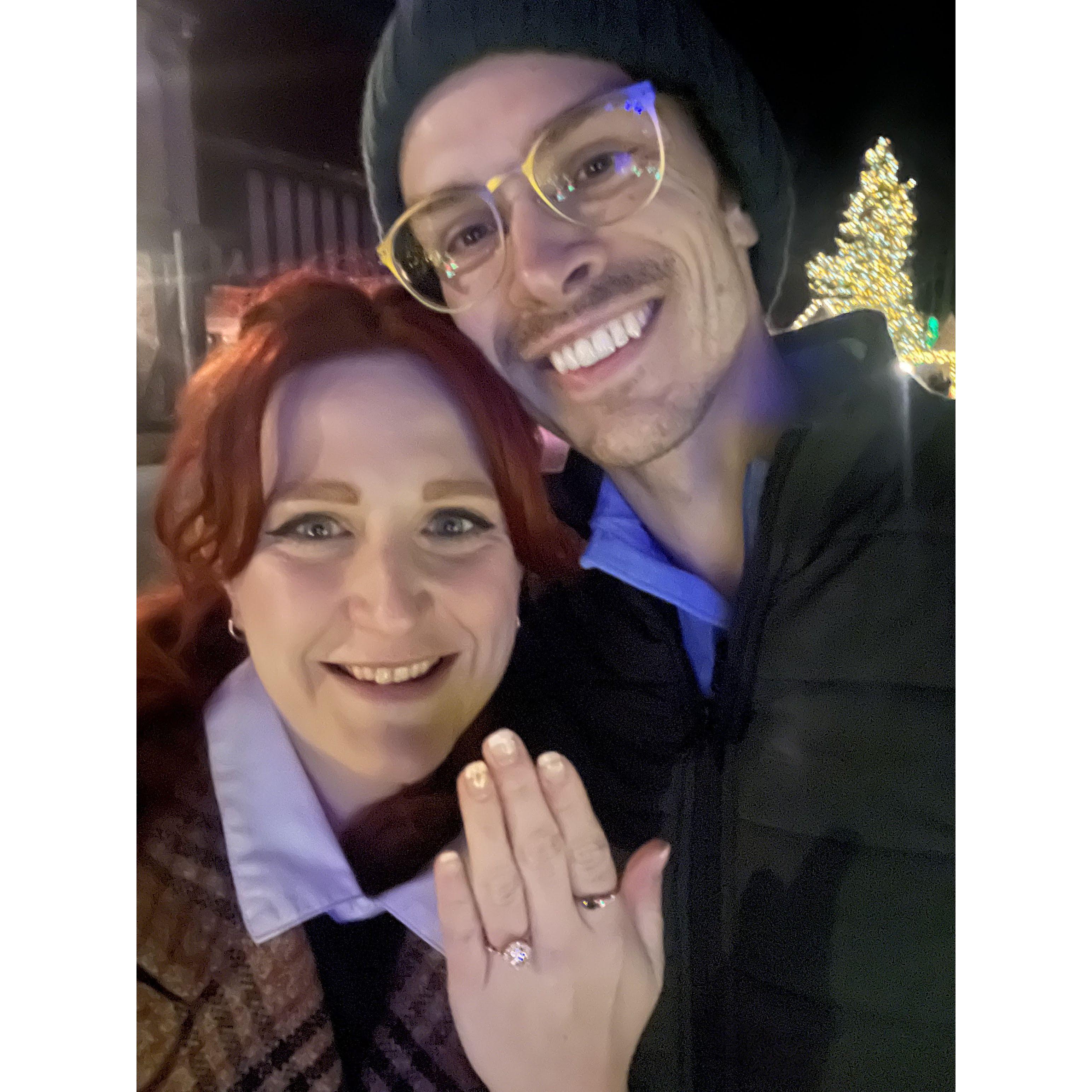Engagement at Meadowbrook Lights