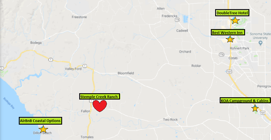 The Wedding Website of Annie Prunty and Christopher Rosales