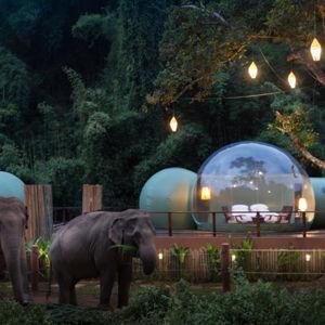 Jungle Bubble-Thailand