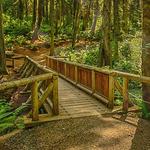 Grand Forest West