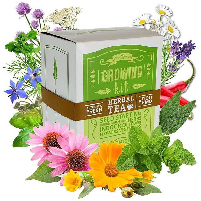Medicinal & Herbal Tea Indoor Herb Garden Starter Kit - Premium Herb Seeds - 18 Non-GMO Varieties - Anise, Hot Pepper, Chamomile, Peppermint, Yarrow, Calendula, Lavender, Angelica, Echinacea, & More