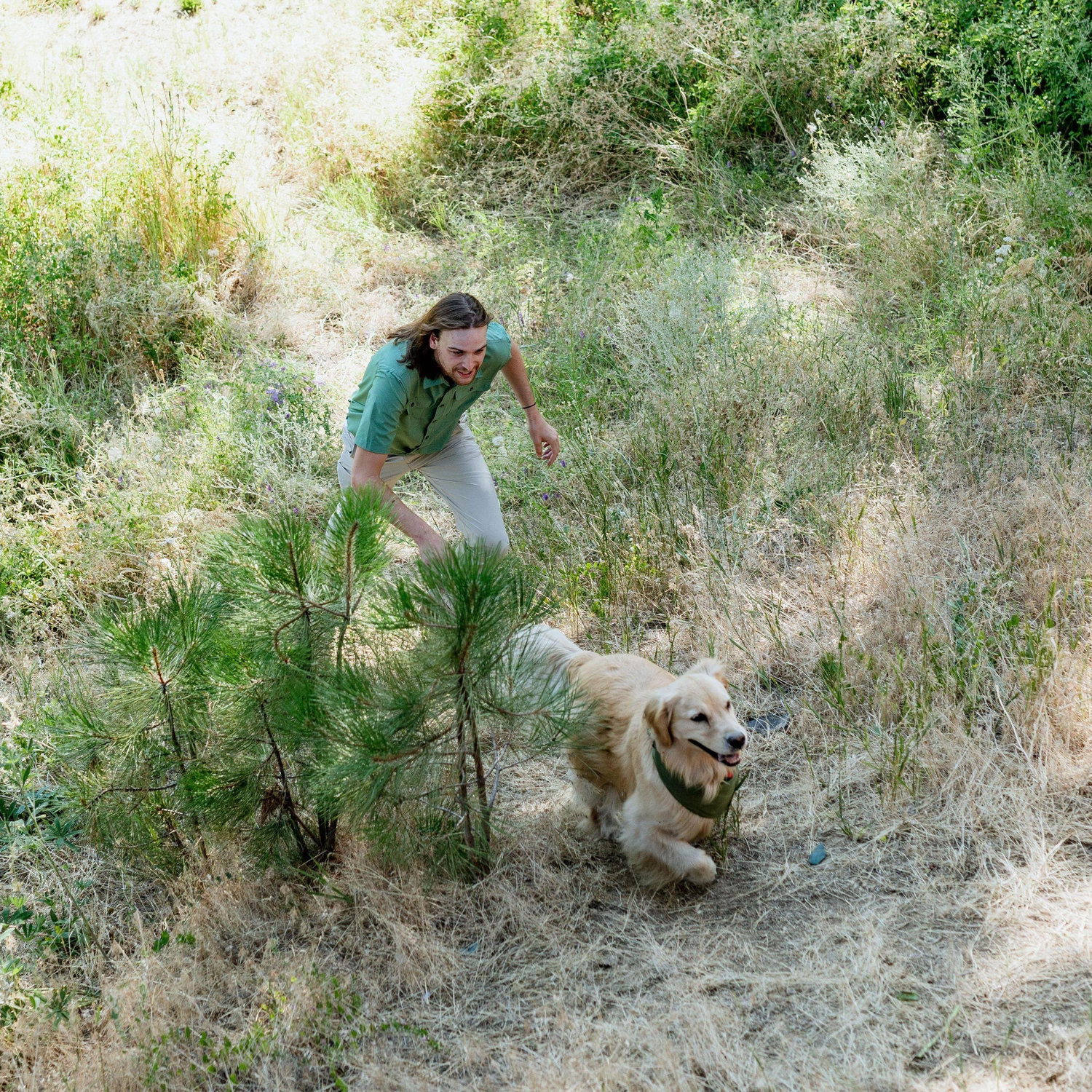 Bryon - The Golden Retriever Wrangler
