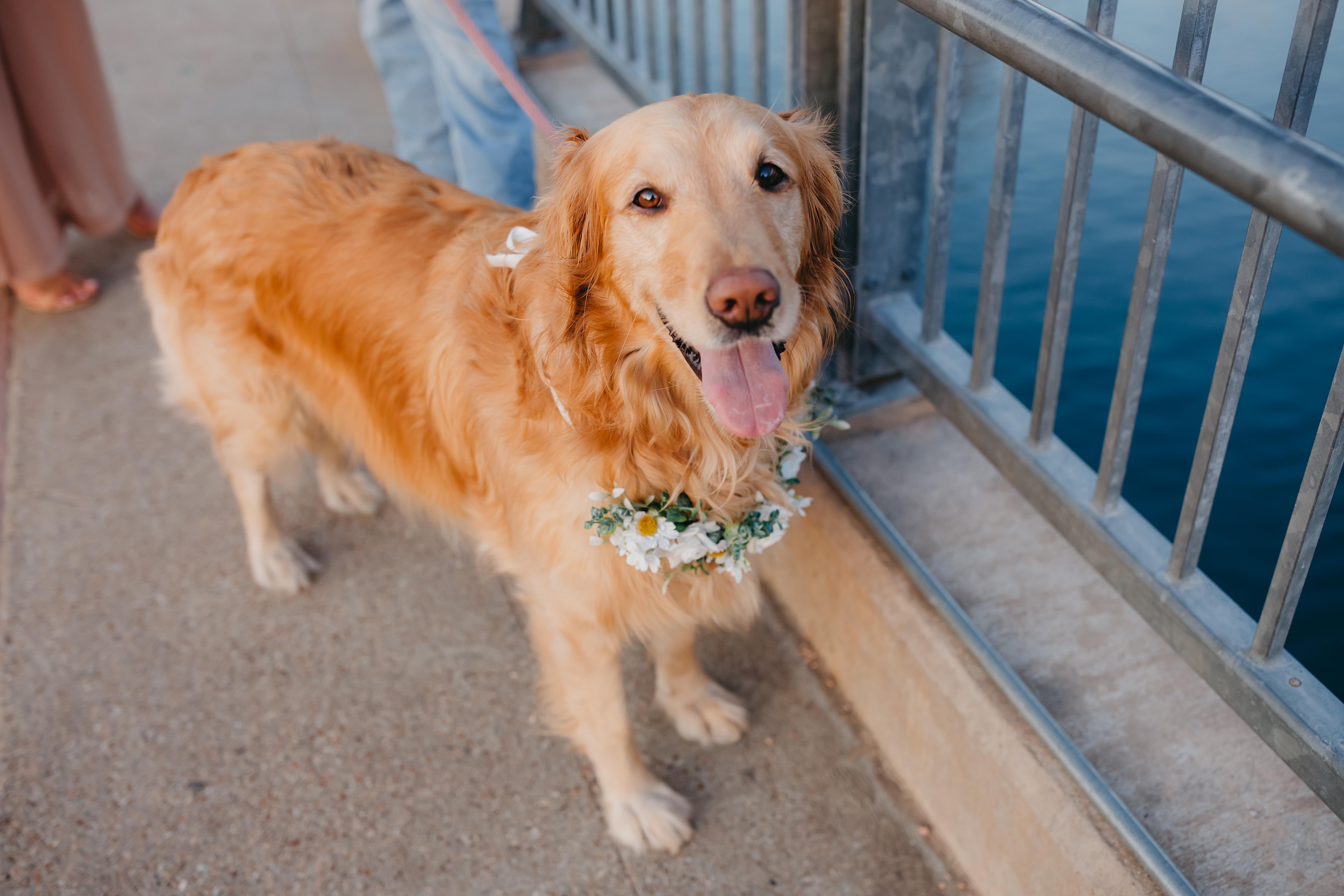 The Wedding Website of Ashley Burnett and Blake Trew