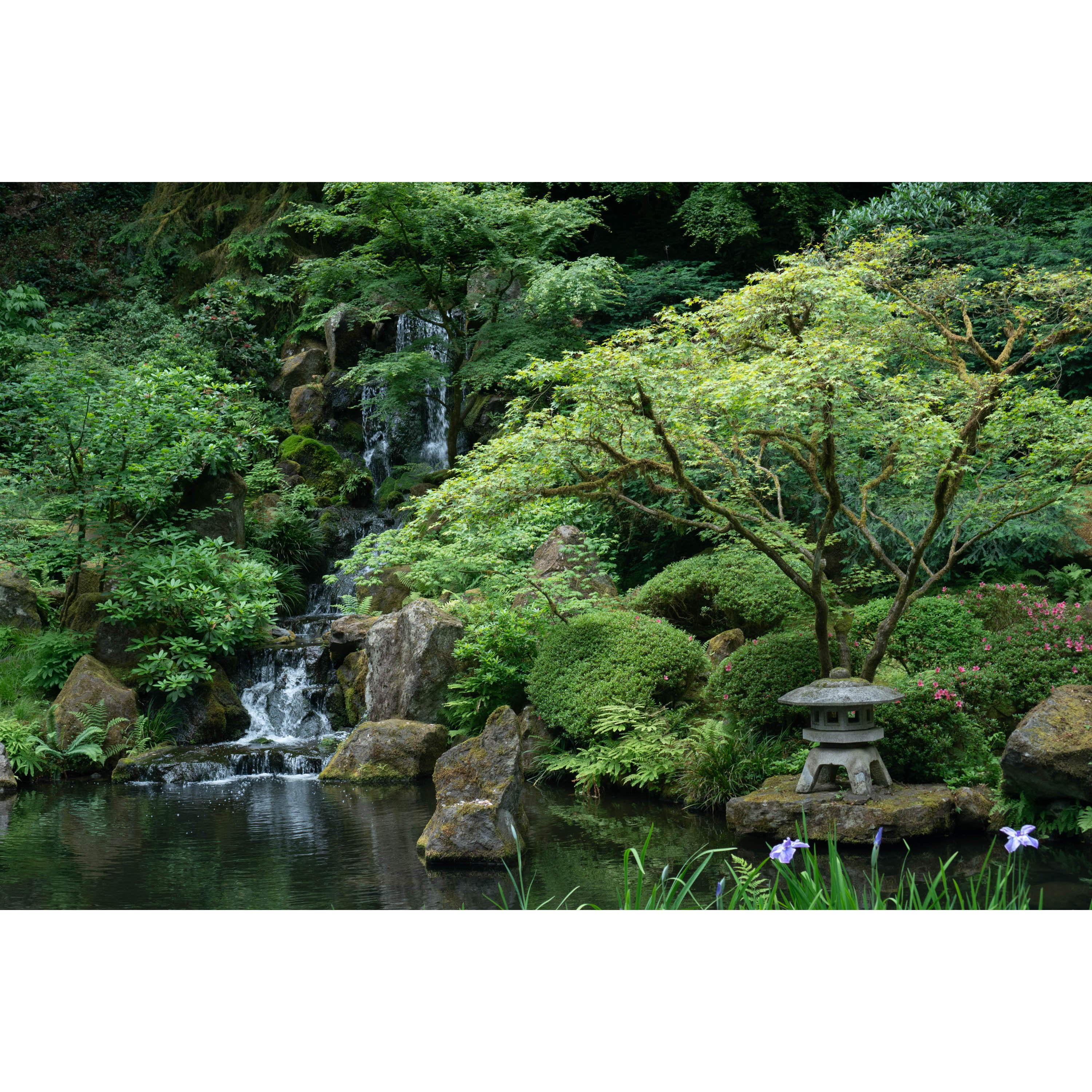 Japanese Garden in Portland, OR