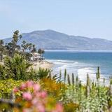 Butterfly Beach