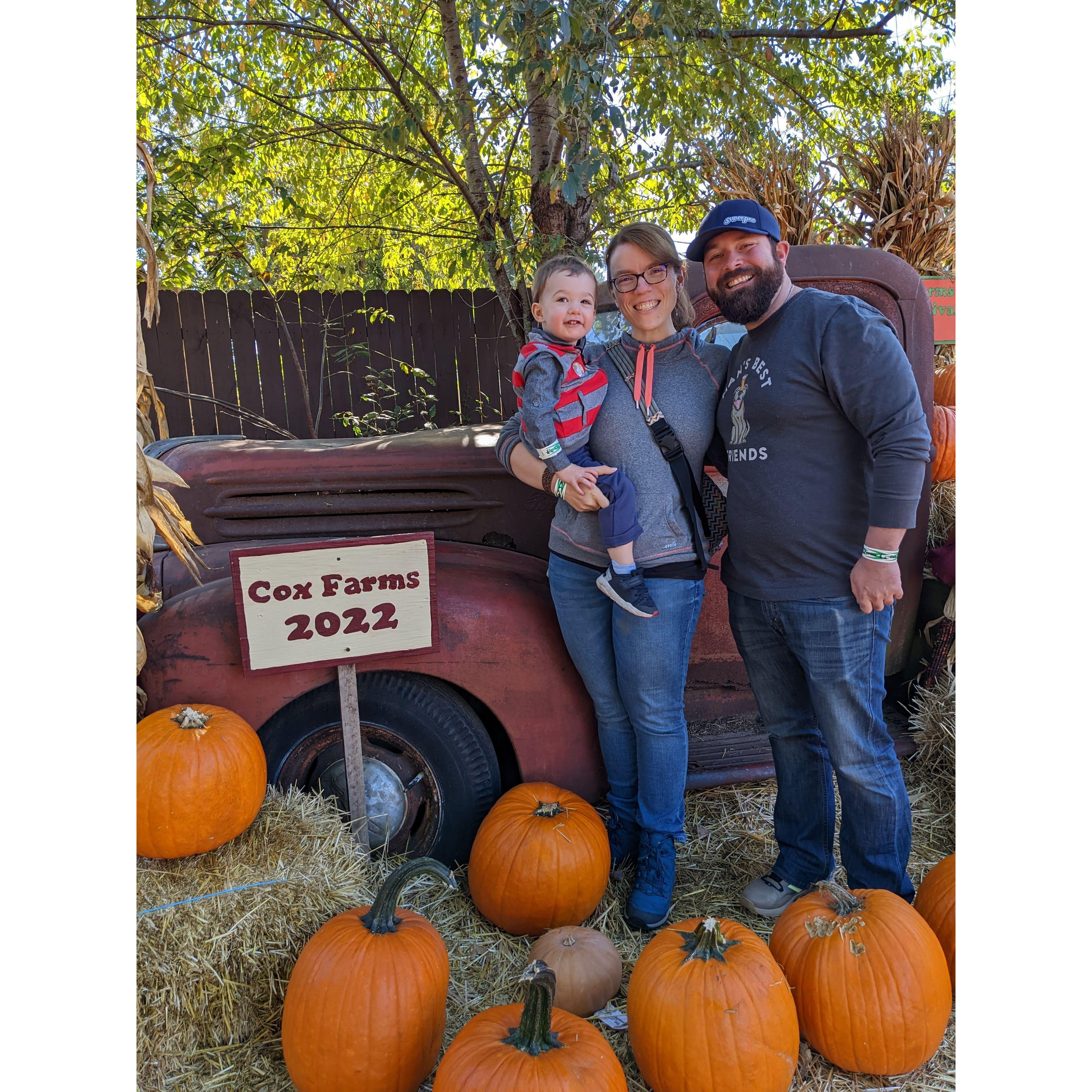 Fall fun with the Beverages.