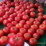 Solana Beach Farmer's Market