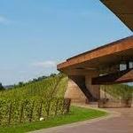 Antinori nel Chianti Classico