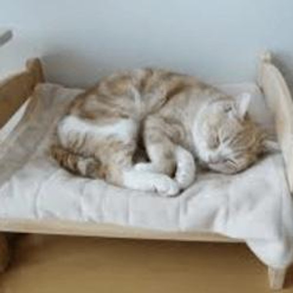 Cal king mattress