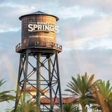 Disney Springs