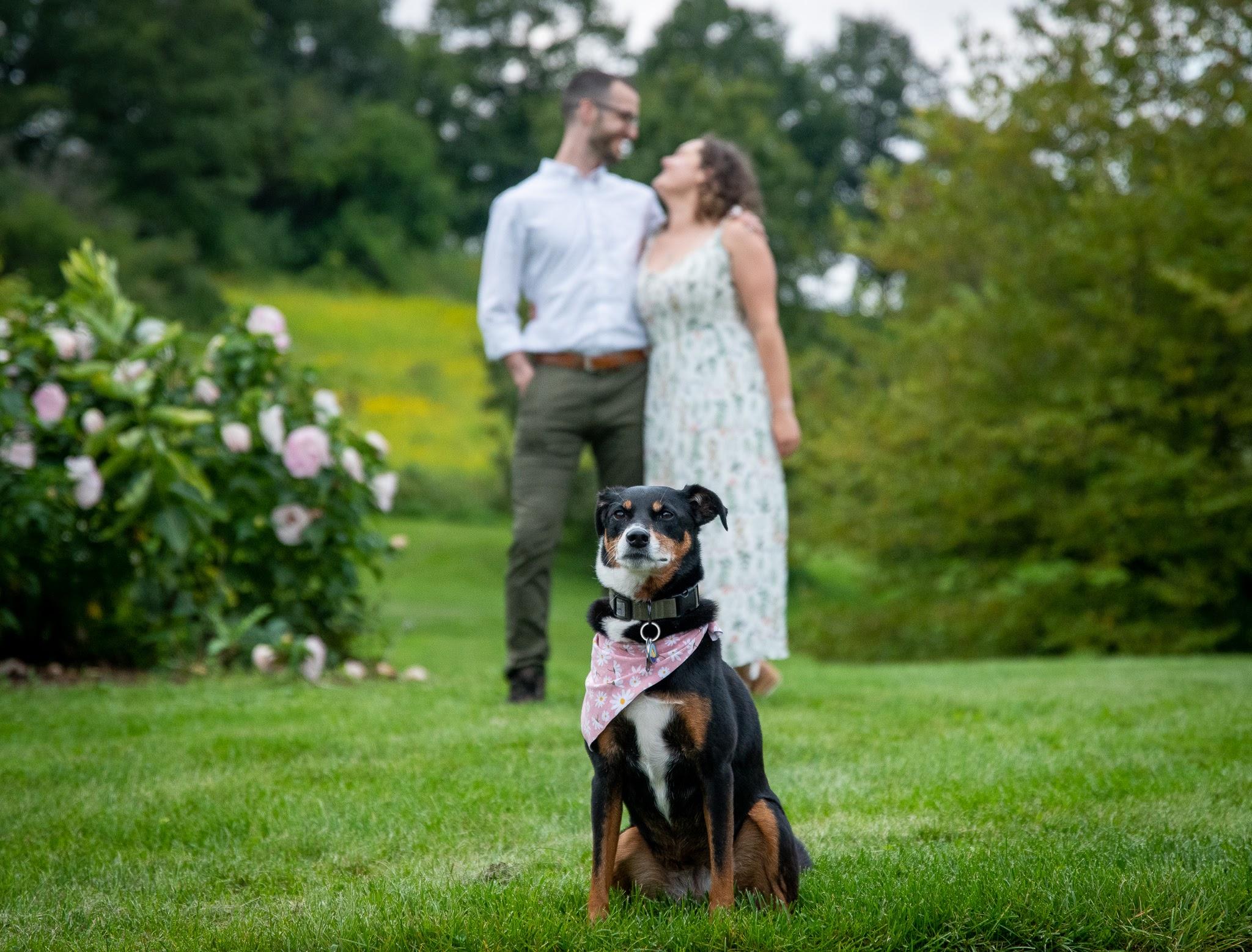 The Wedding Website of Kris Bosela and Hailey Nase