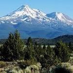 Mount Shasta