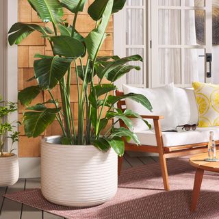Nardo Large Planter Pot