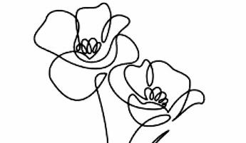 The Wedding Website of Sydney Schwankl and Weston Romine