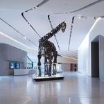 Cleveland Museum of Natural History