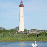 Cape May Lighthouse