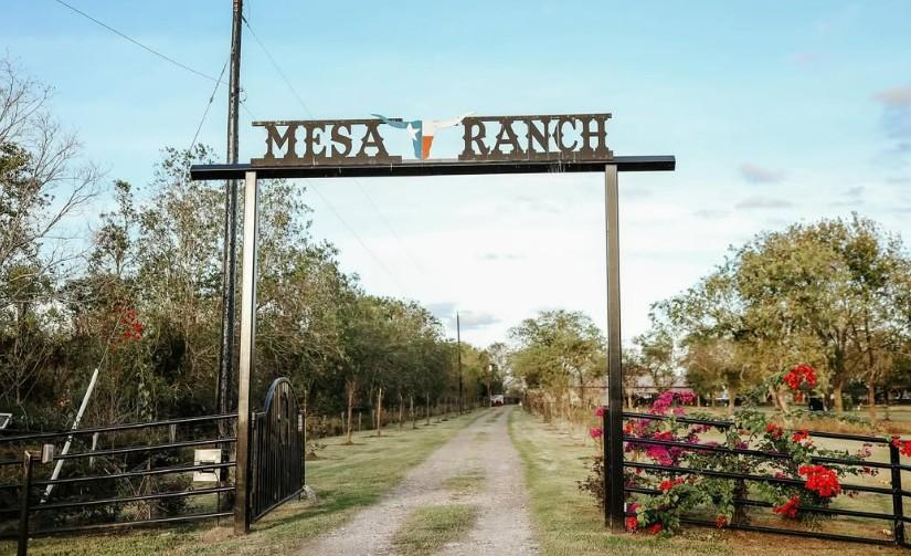 The Wedding Website of Crystal Cervantes and Jonathon Serrano