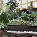 Cleveland Botanical Garden