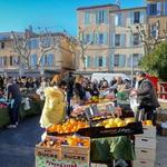 Provencal Markets