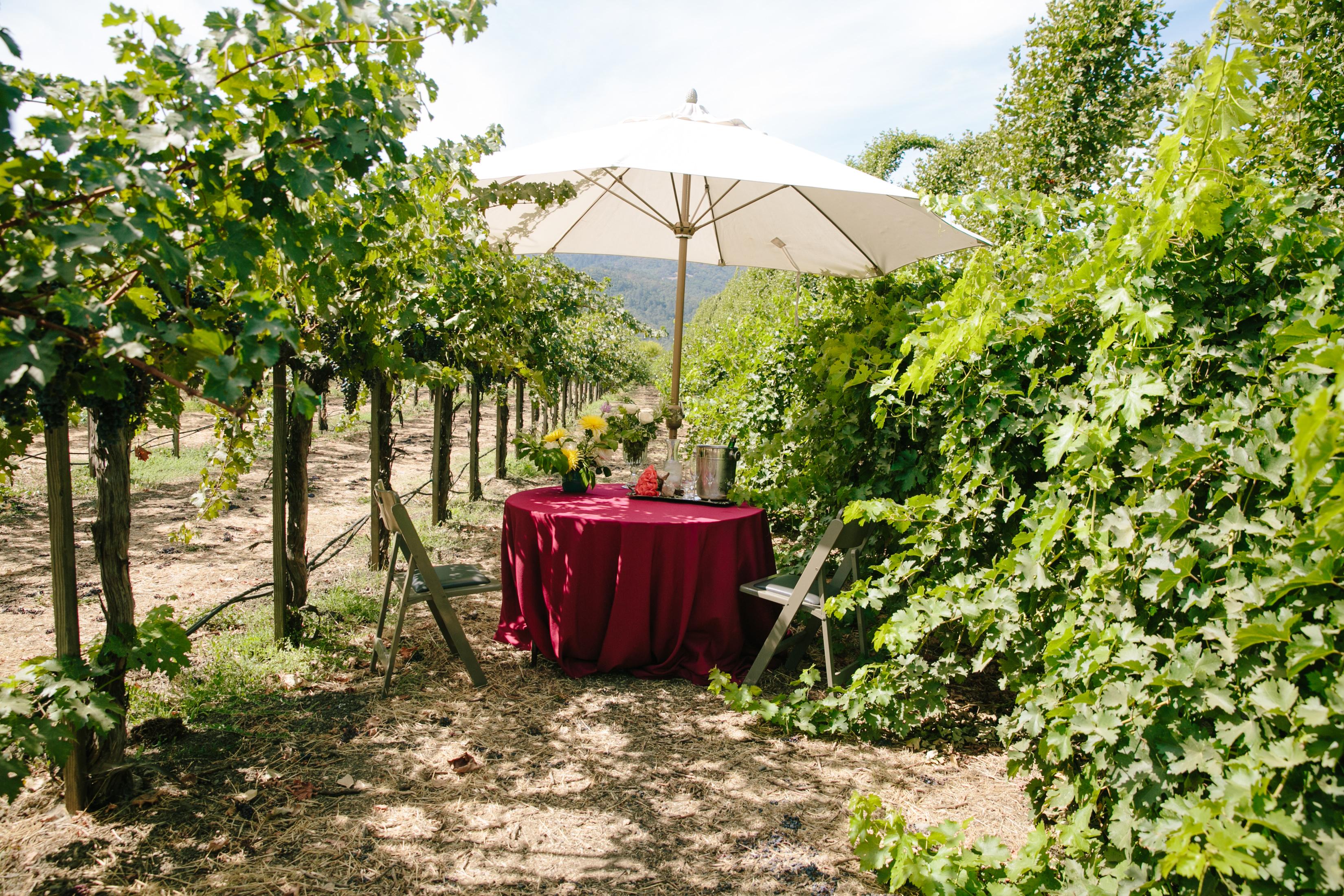 The Wedding Website of Gina Peri and Giovanni Colonna