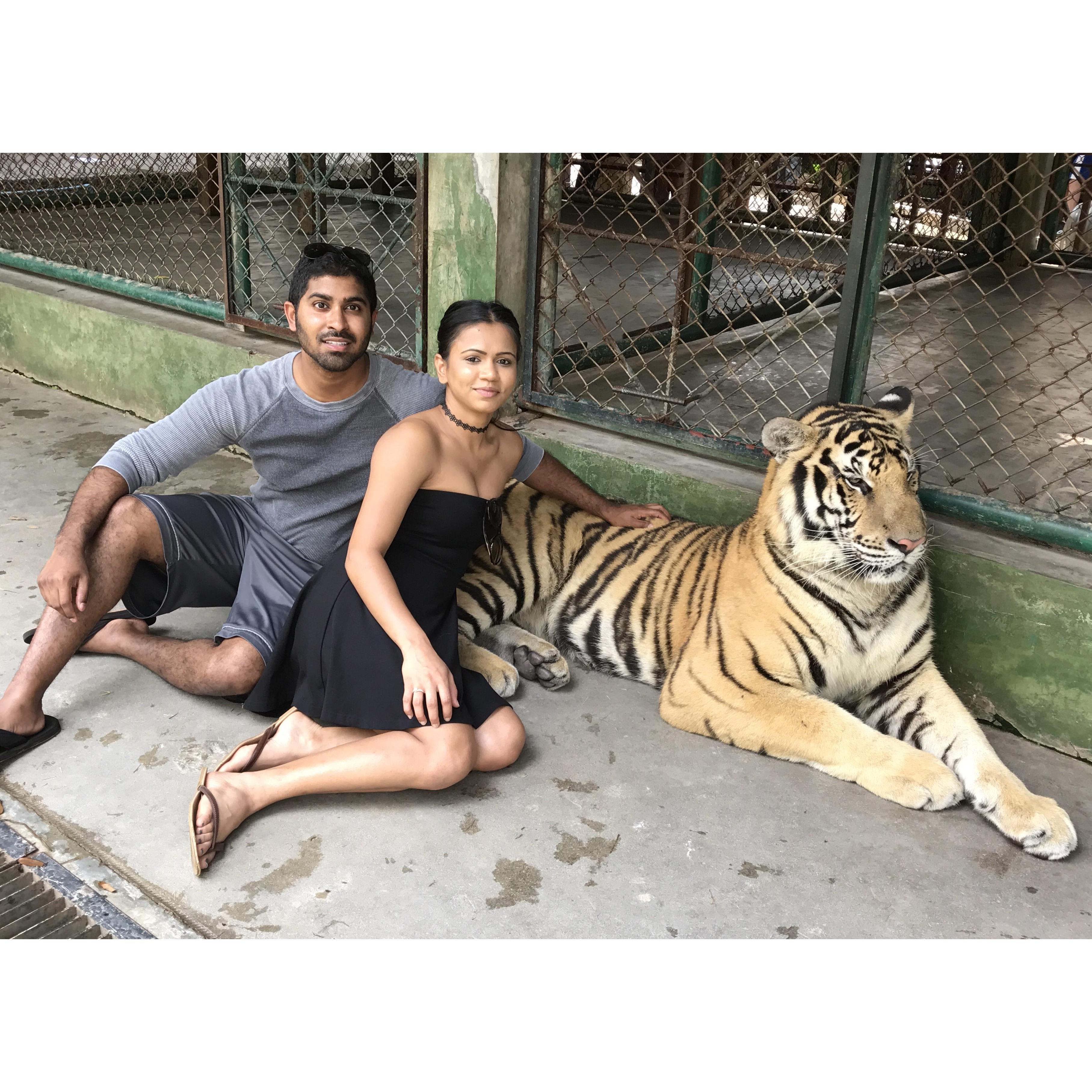 Phuket, Thailand. The closest we got to a wild animal.