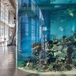 South Carolina Aquarium