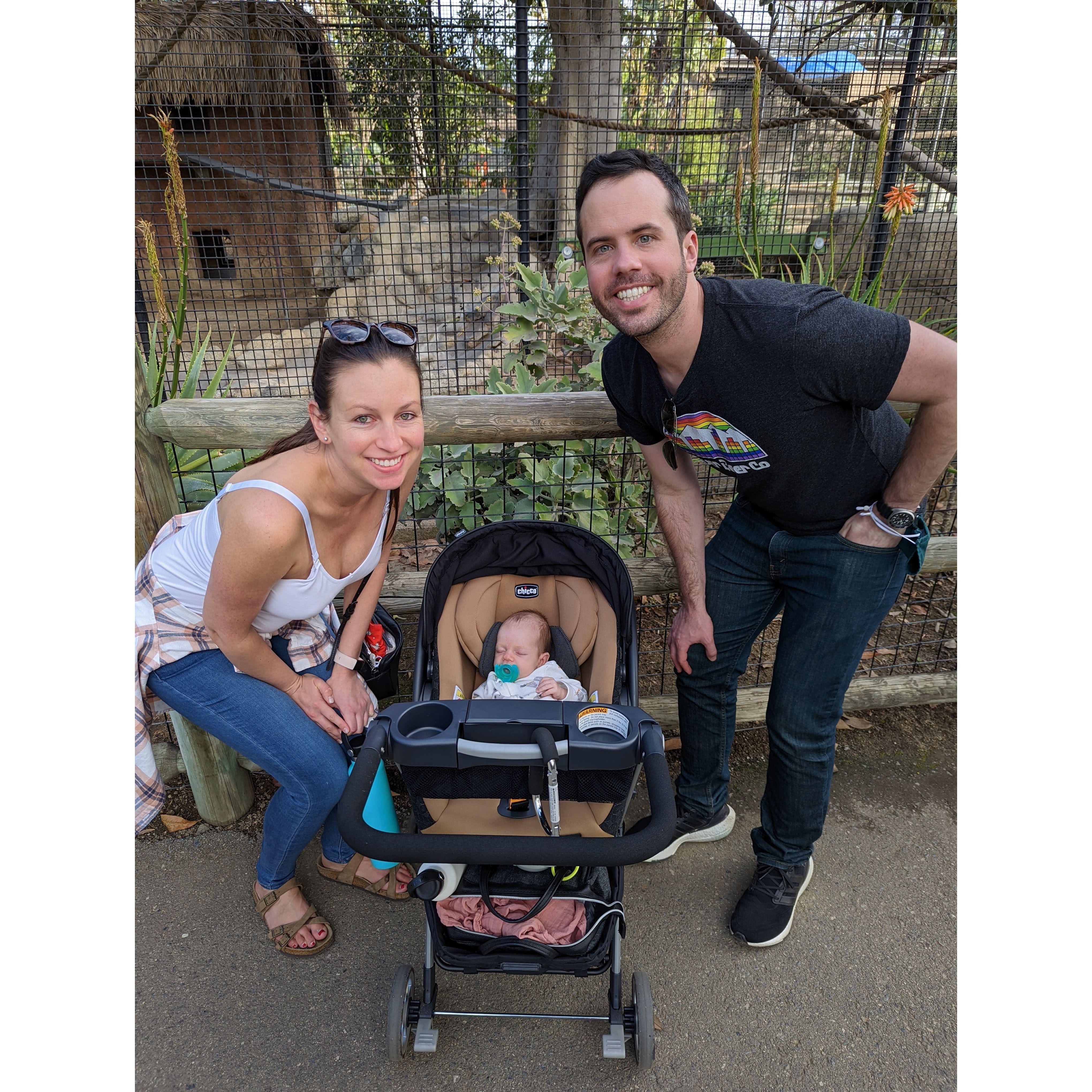 Adelynn's first zoo visit at 1 month old