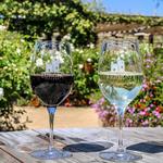 Hit Up a Winery