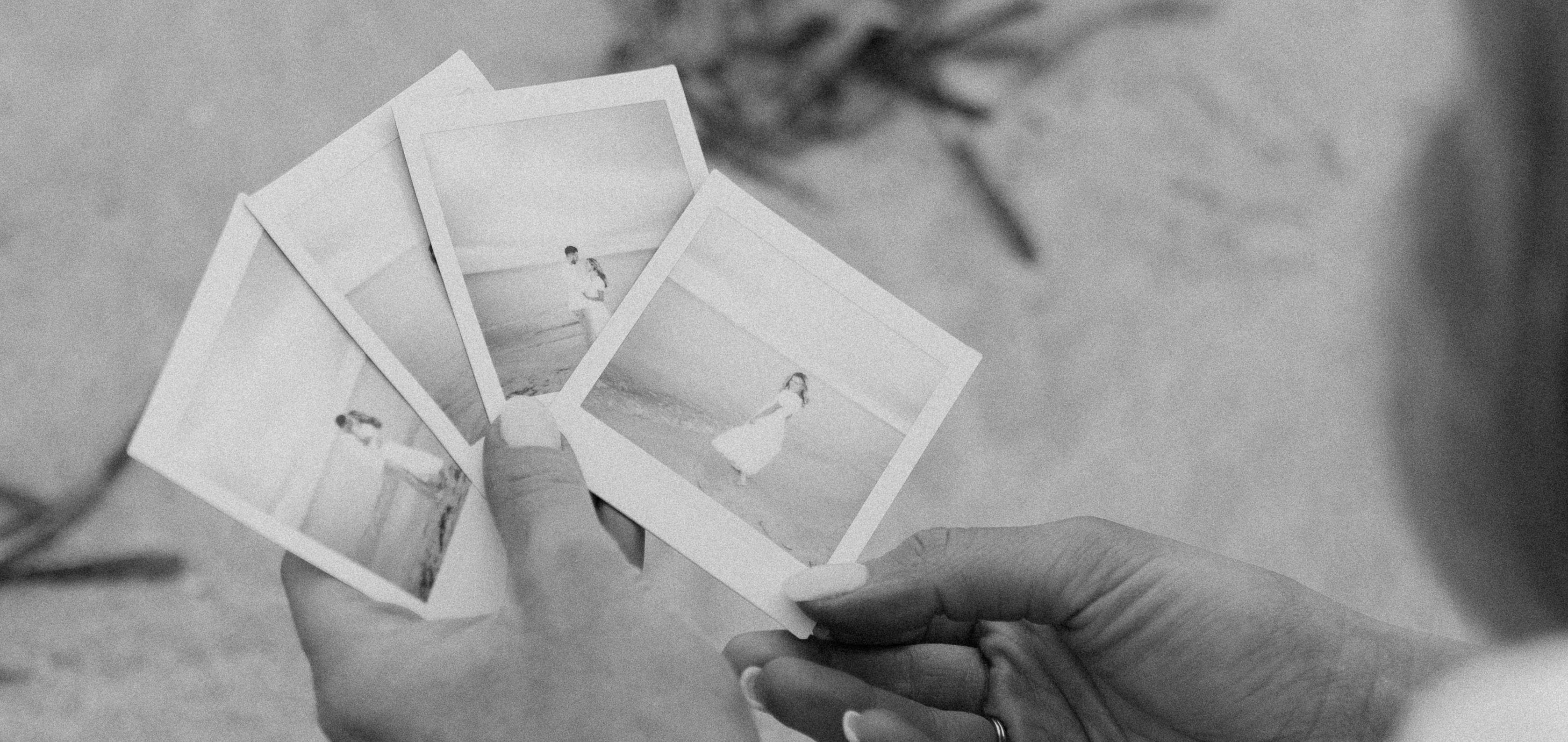 The Wedding Website of Gina Marie Crescimanno and Michael Christopher Basil