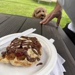 The Iron Waffle Coffee Company