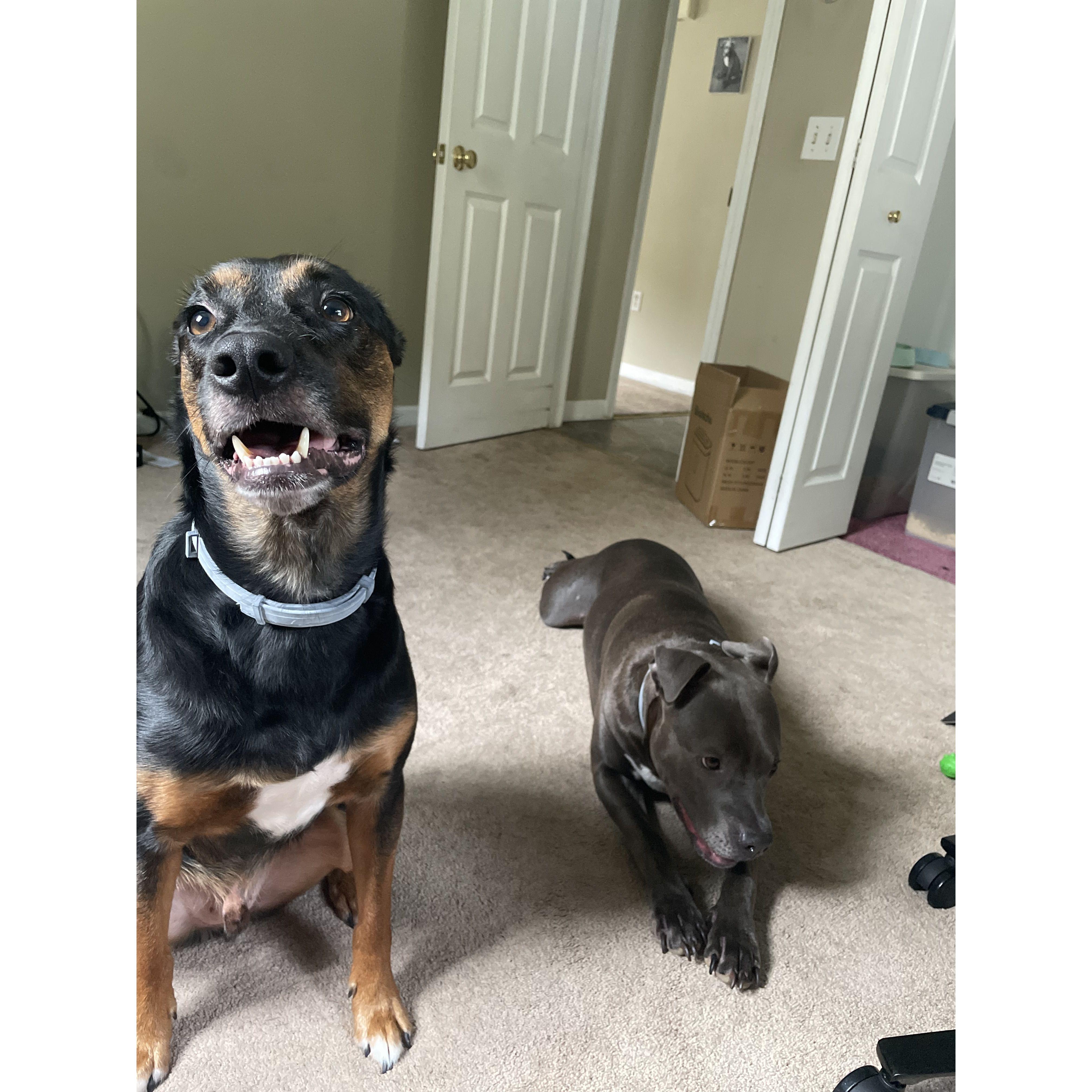Mommy, we love our backyard, can we go play now?