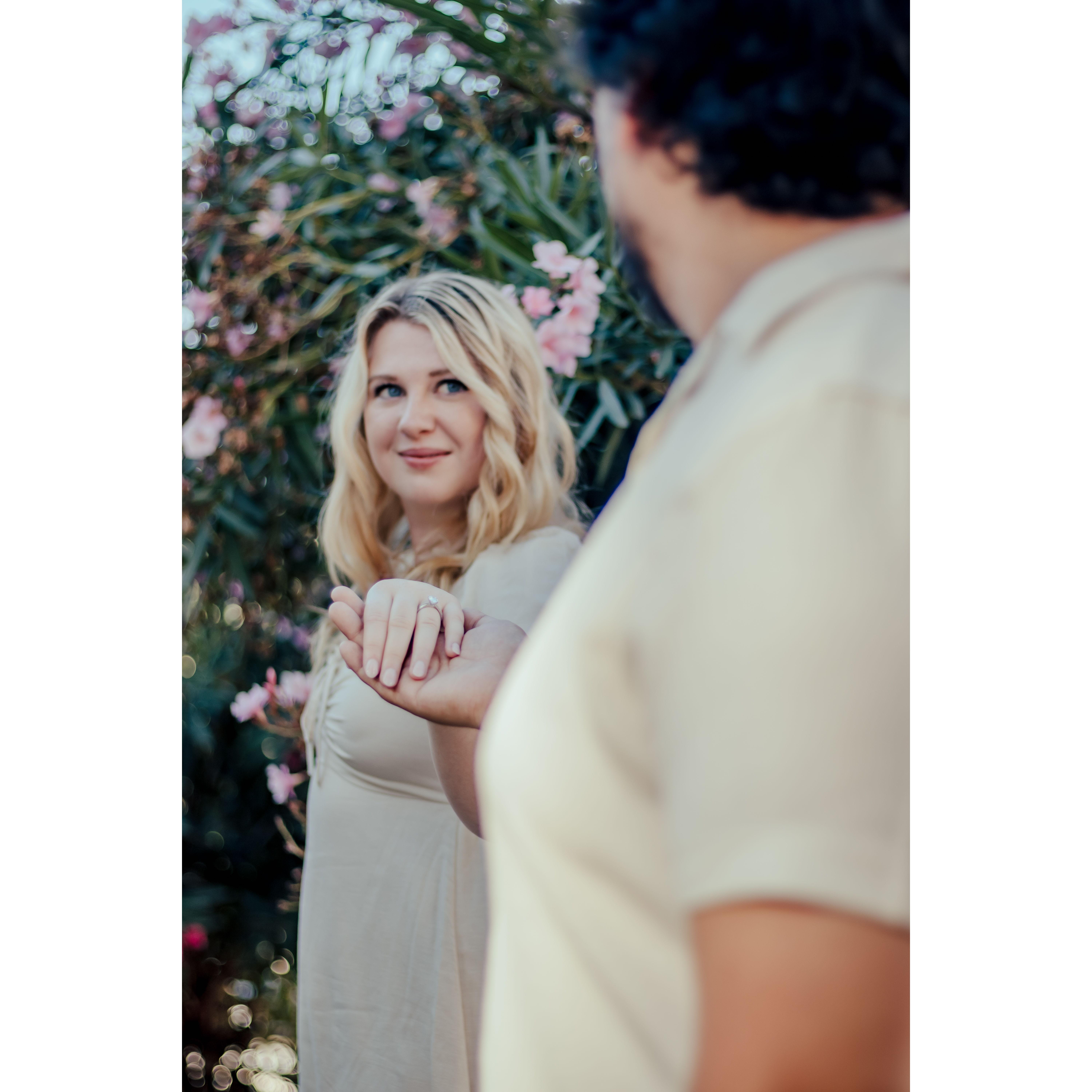 Take my hand, take my whole life too