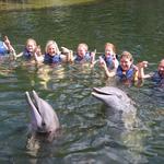 Swim With Dolphins