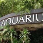 The Dallas World Aquarium