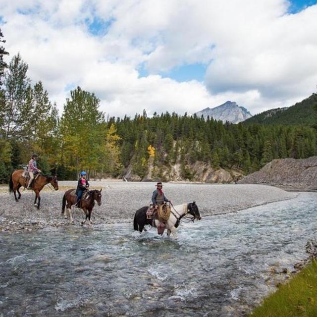 Horseback Ride