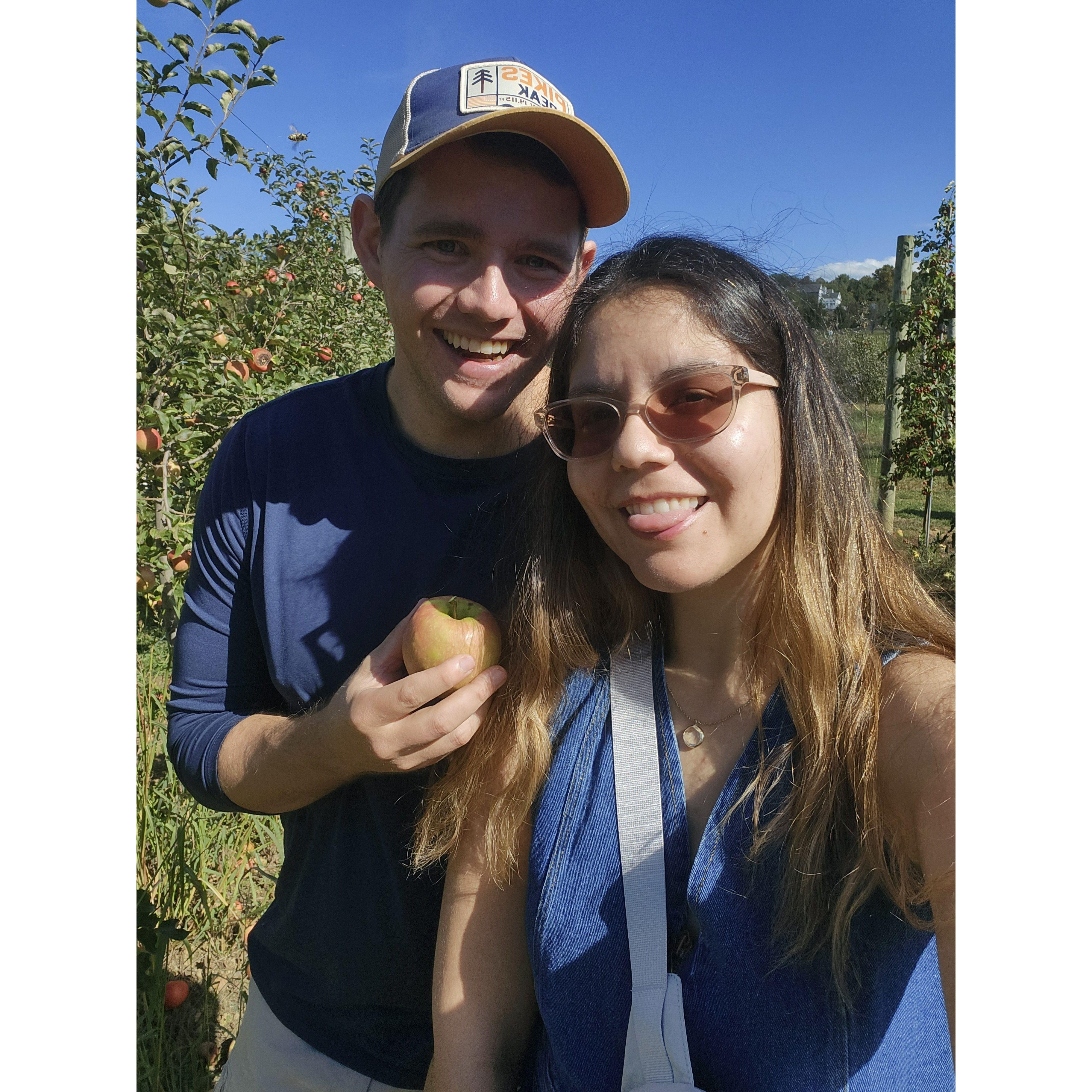 Apple Cider Donuts here we come!