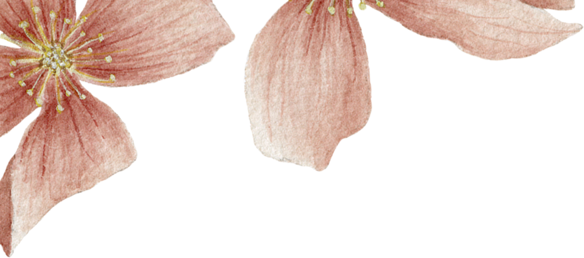 petals