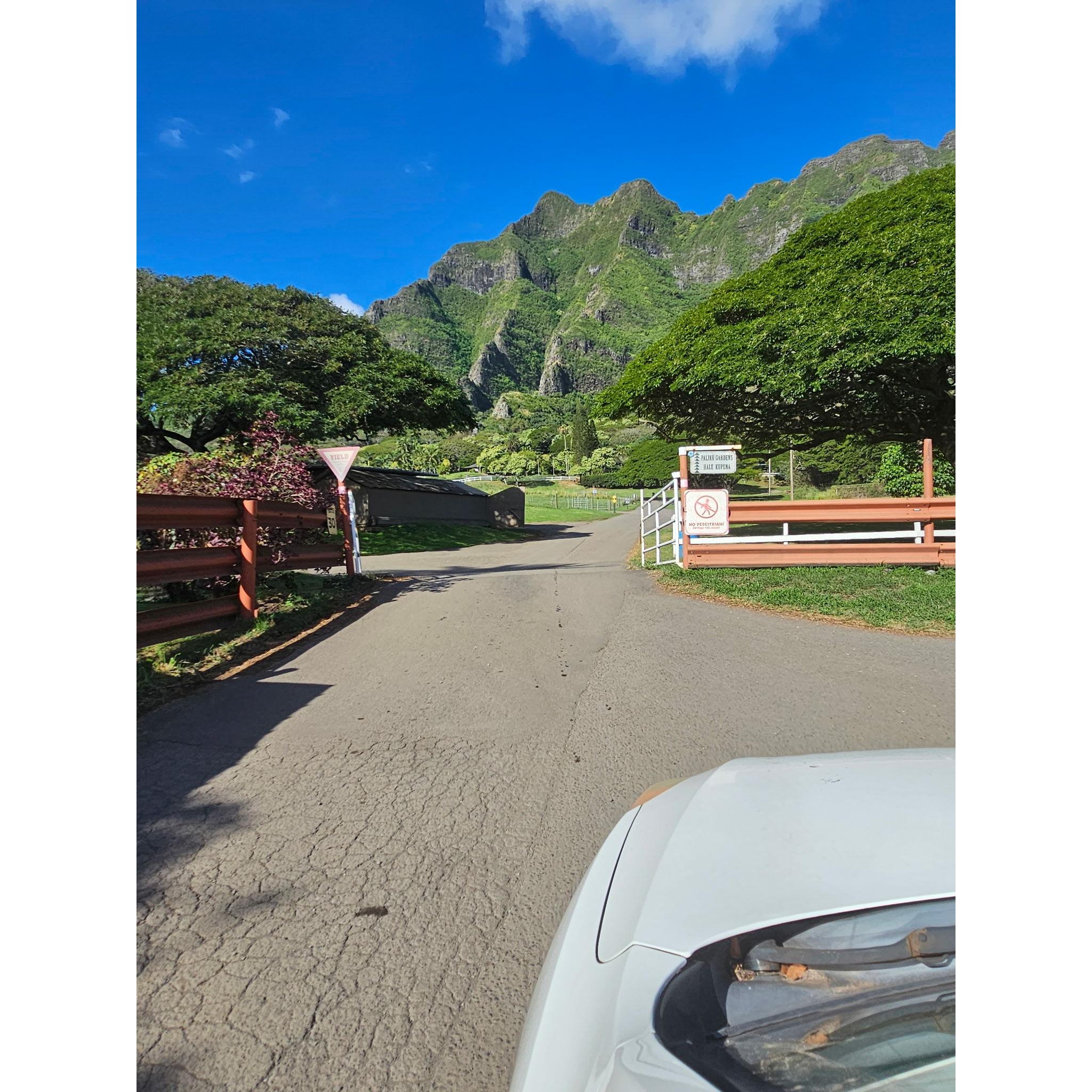 Beyond this gate is a short drive to Paliku Gardens and the guest parking areas.