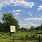 Ram's Pasture