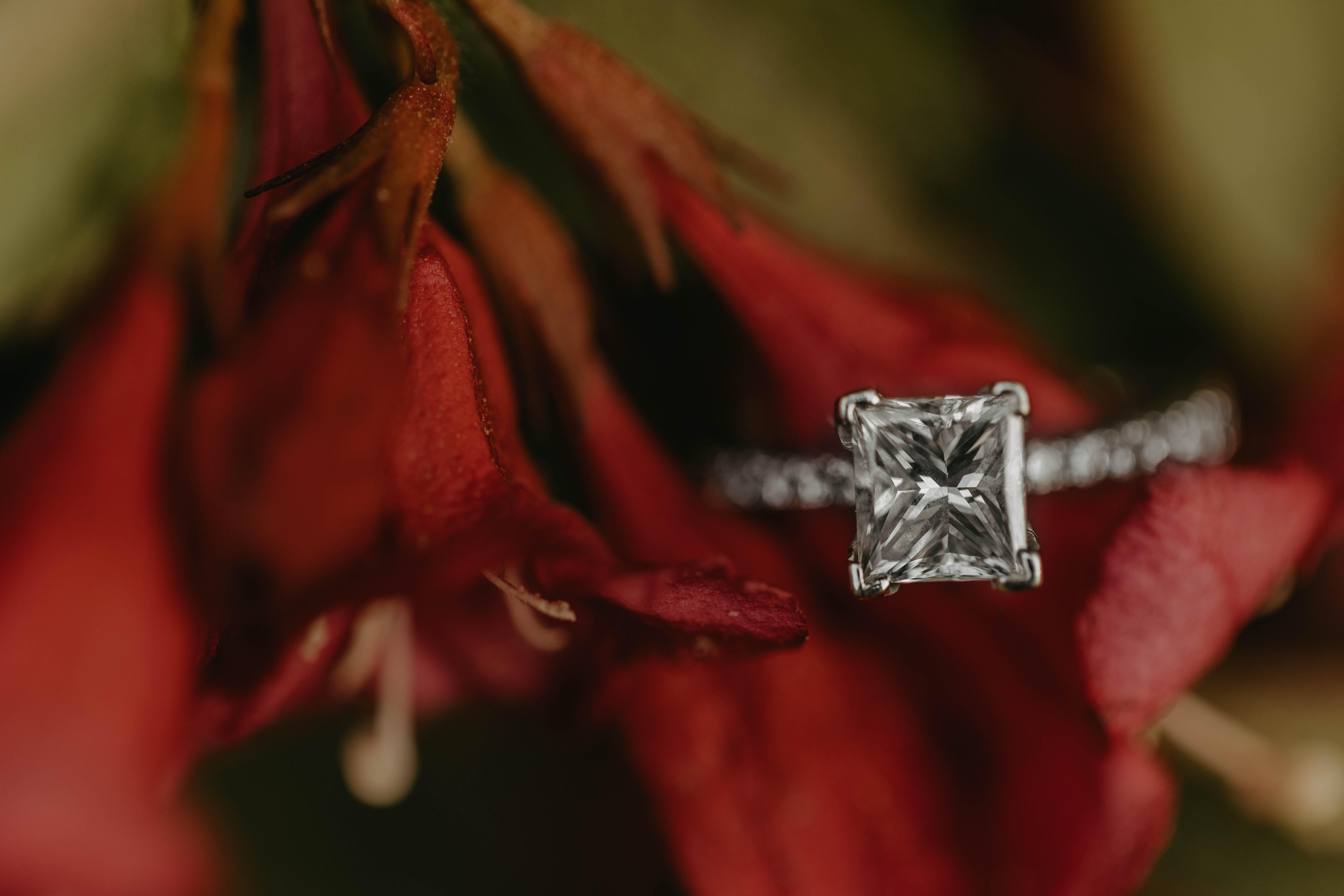 The Wedding Website of Giuseppina Diana and Amit Gajjar