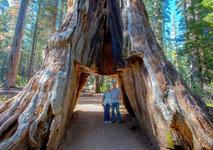 Sequoia National Park