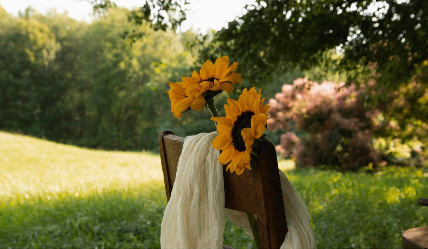 The Wedding Website of Andrew Desjardin and Colleen Conde