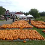 Partake in Some Fall Fun at Terhune Orchards